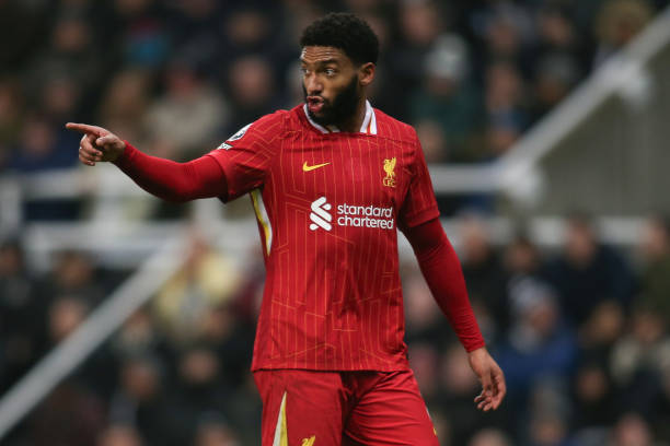 己的独特风 己的独特风